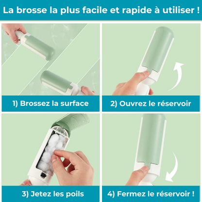 Brosse PoilNet, anti poils de chats et chiens