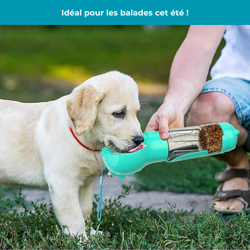 SWAF - La bouteille tout-en-1 pour votre chien