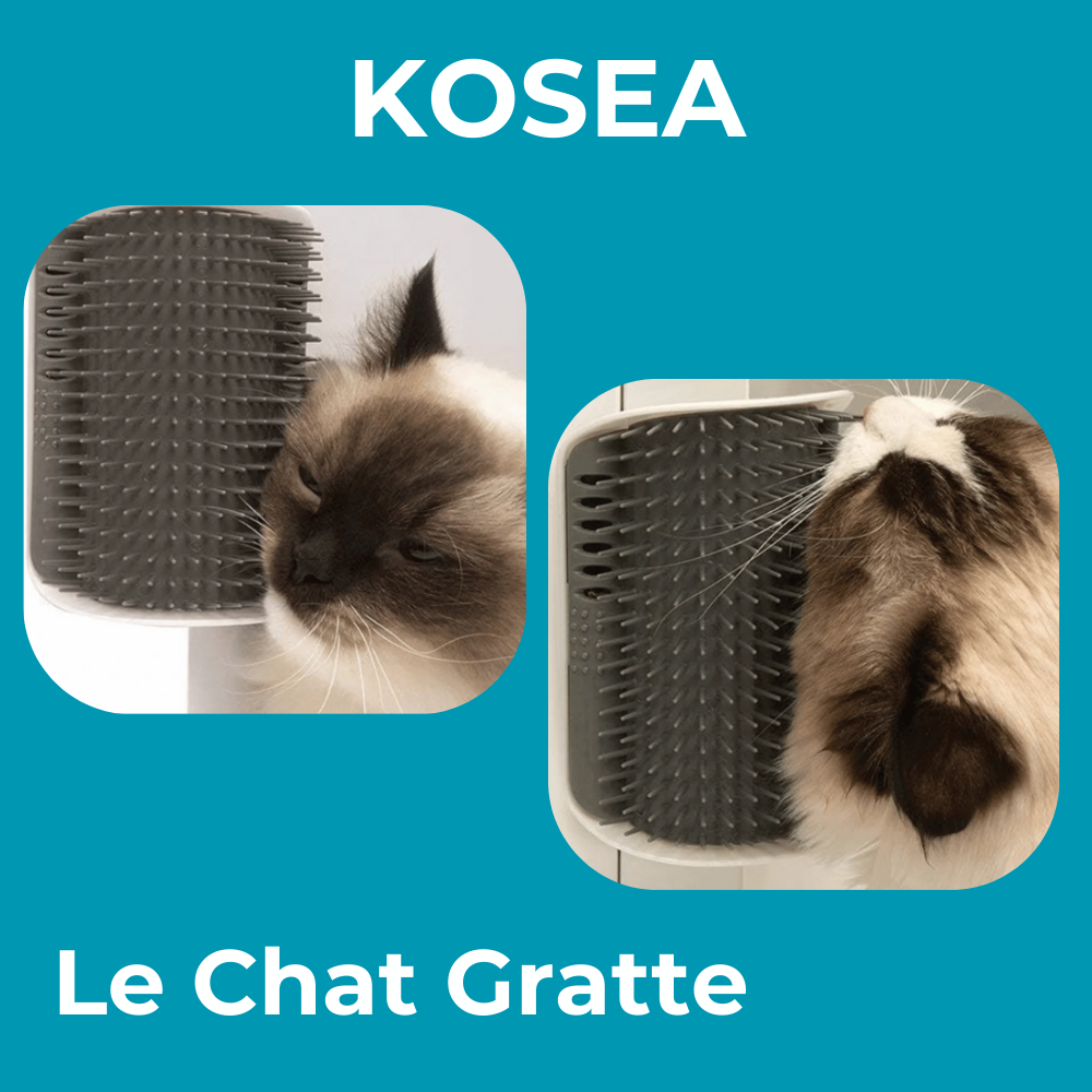 Le Chat Gratte - Brosse Massage d'angle