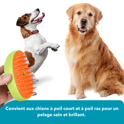 SteamDog - Brosse vapeur pour chien