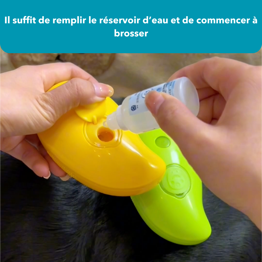 SteamDog - Brosse vapeur pour chien